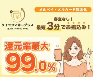 クイックマネープラス