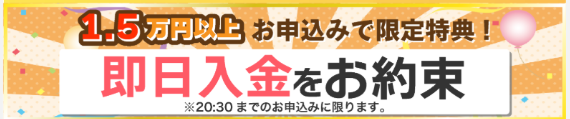 クイックマネープラス